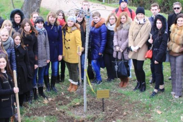  В КФУ посадили дерево науки